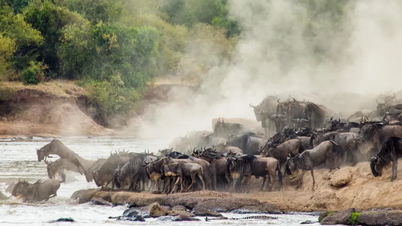 Nyasi, Northern Serengeti, Tanzania