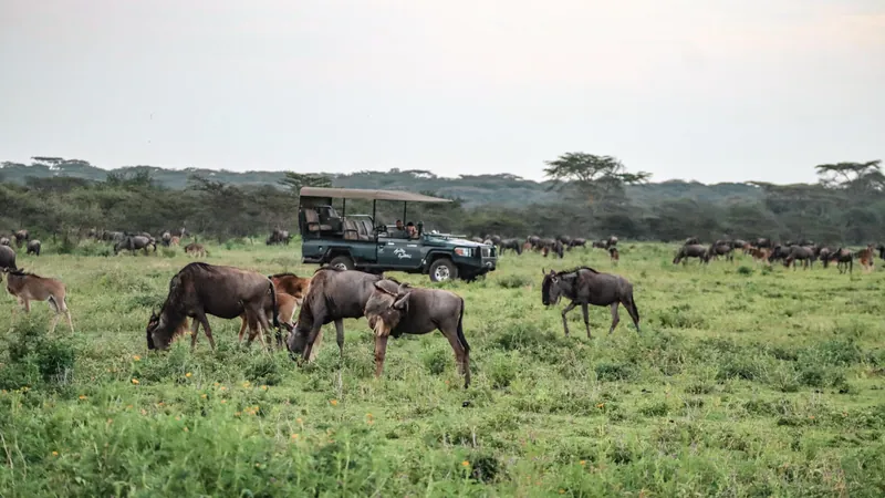 Mwiba Plains, タンザニア · Southern Serengeti
