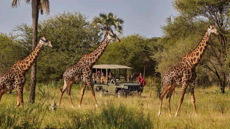 Chem Chem Lodge, タンザニア · Lake Manyara