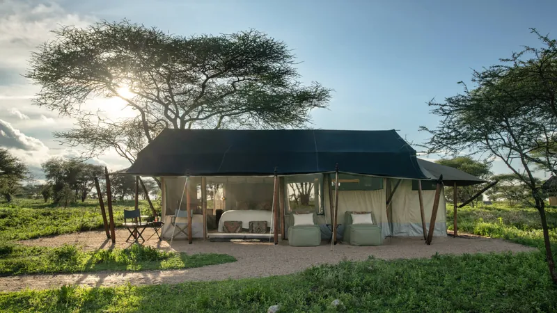 Mwiba Plains, タンザニア · Southern Serengeti
