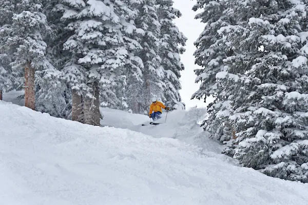 Madeline Hotel & Residences, アメリカ · Telluride