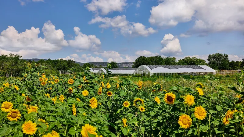 野花农场，Auberge Resorts Collection, 美国 · Hudson Valley
