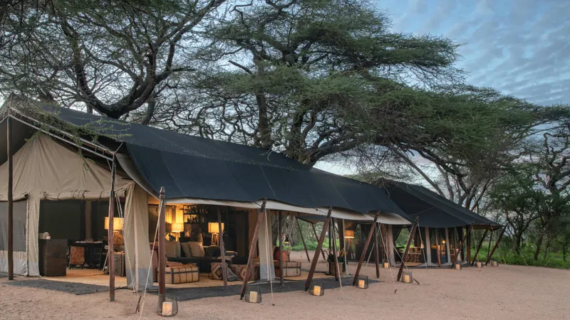 Mwiba Plains, タンザニア · Southern Serengeti