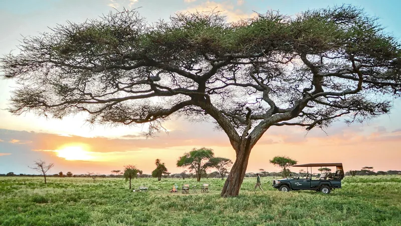 Mwiba Plains, タンザニア · Southern Serengeti