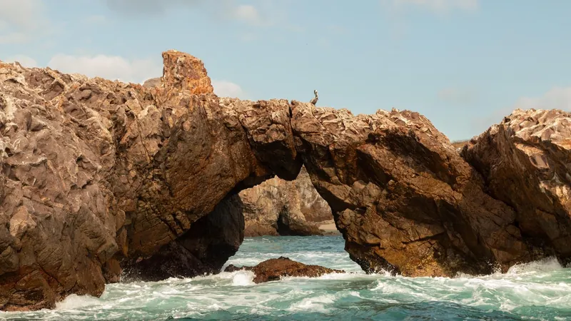 Susurros del Corazón, メキシコ · Punta de Mita