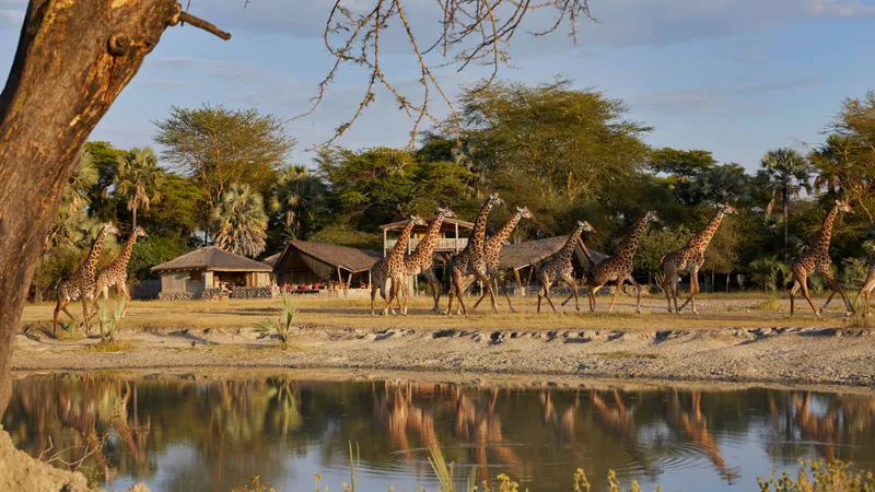 Chem Chem Lodge, タンザニア · Lake Manyara