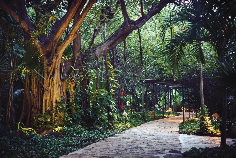 Maroma, A Belmond Hotel, Riviera Maya, Riviera Maya, Mexico