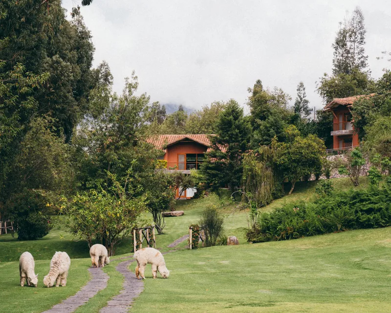 Rio Sagrado, A Belmond Hotel, Sacred Valley, ペルー · Sacred Valley