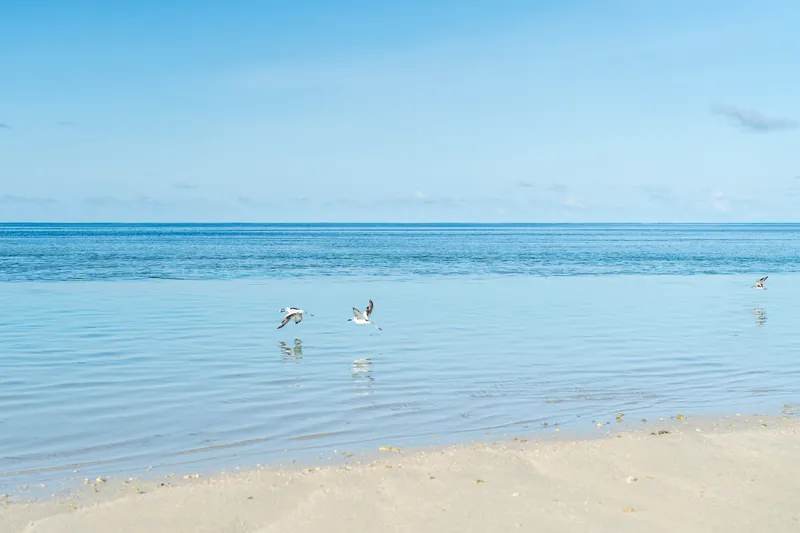 Waldorf Astoria Seychelles Platte Island, 세이셸 · Platte Island