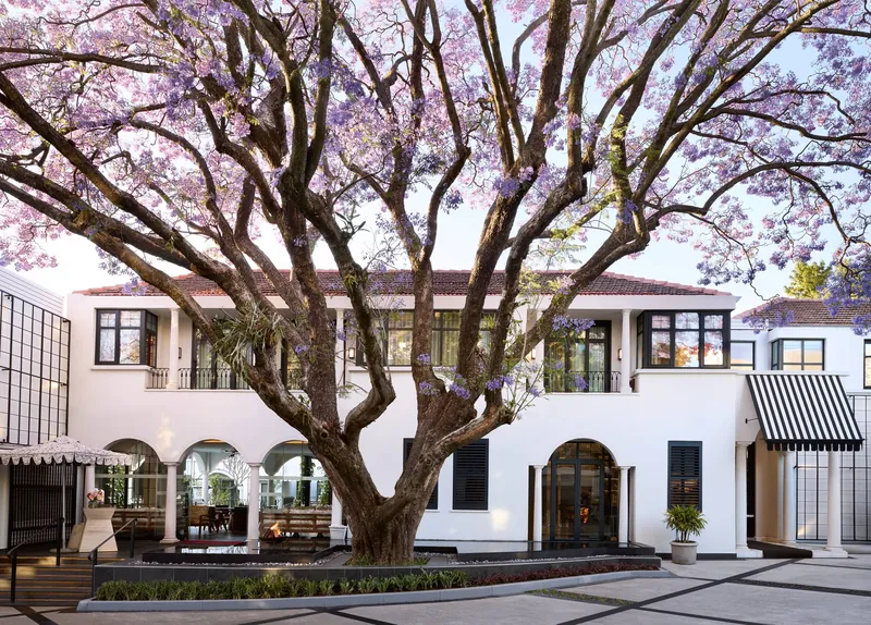 约翰内斯堡柏悦酒店, 南非 · Johannesburg