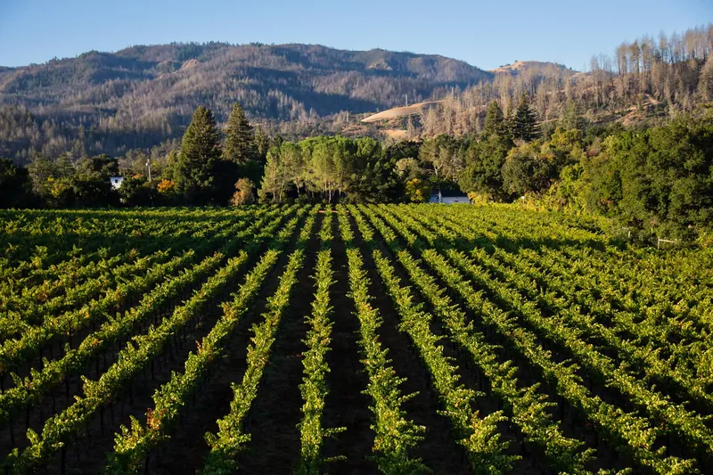 Alila Napa Valley, アメリカ · St. Helena