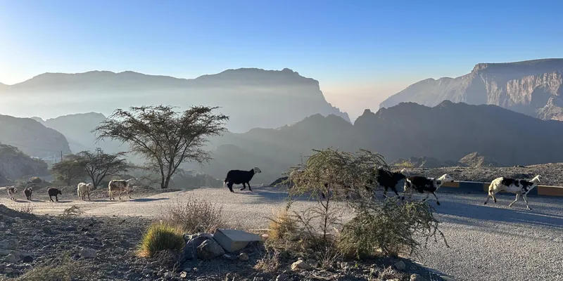 Hotel Indigo Jabal Akhdar Resort & Spa, オマーン · Jabal Akhdar