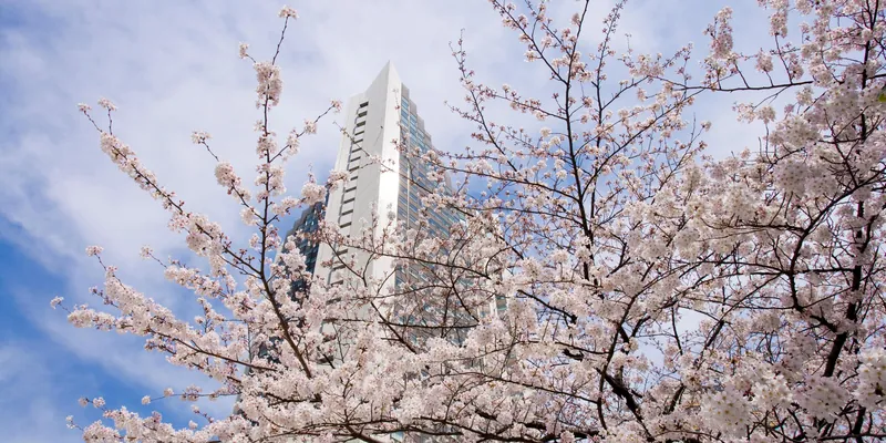ANA InterContinental Tokyo, 日本 · 東京
