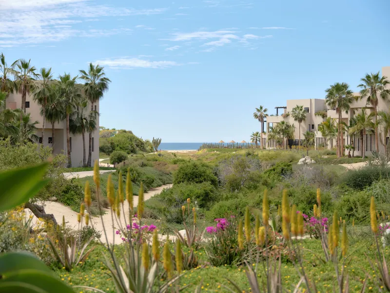 Kimpton Mas Olas Resort and Spa, Todos Santos, 墨西哥 · Todos Santos