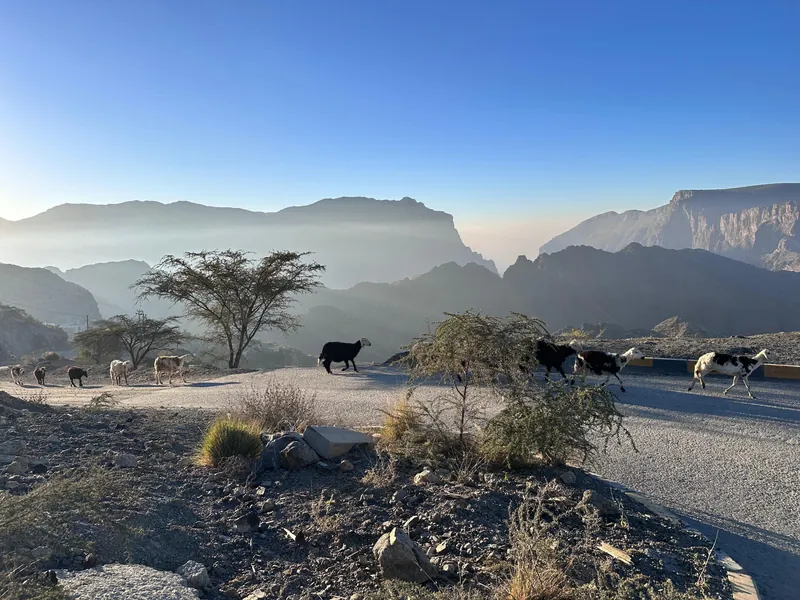 Hotel Indigo Jabal Akhdar Resort & Spa, オマーン · Jabal Akhdar