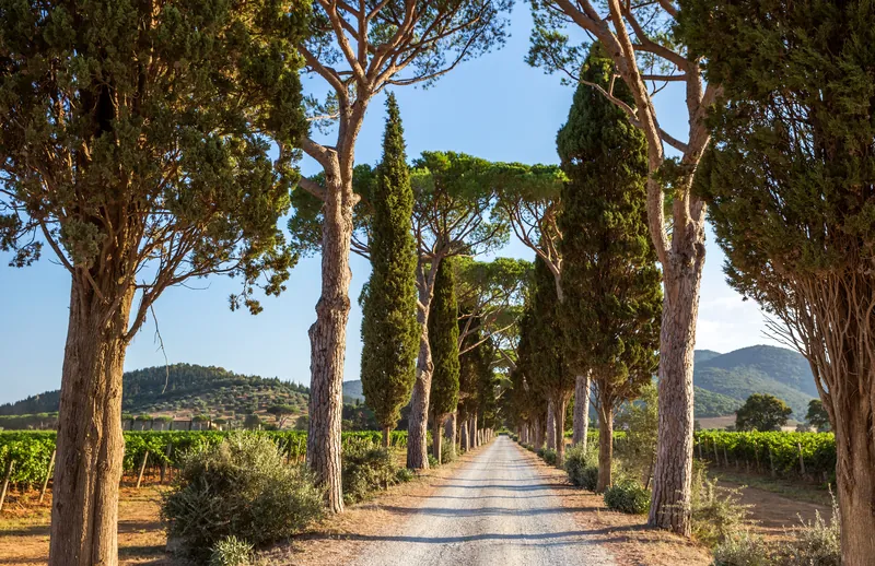 L'Andana Resort, Castiglione della Pescaia, Tuscany, Italy
