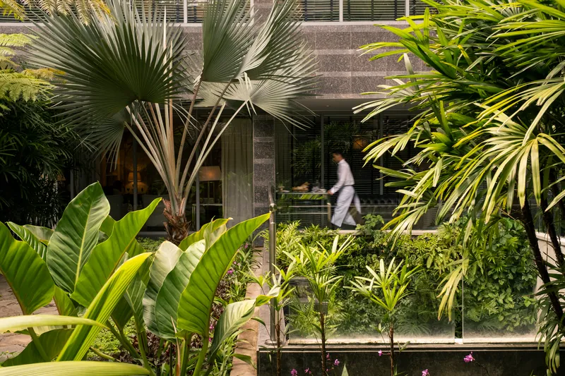 卡耶那-加拉加斯, Venezuela · Caracas