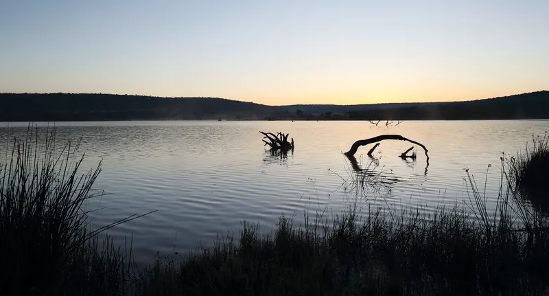 Shambala Private Game Reserve, 南アフリカ · Vaalwater