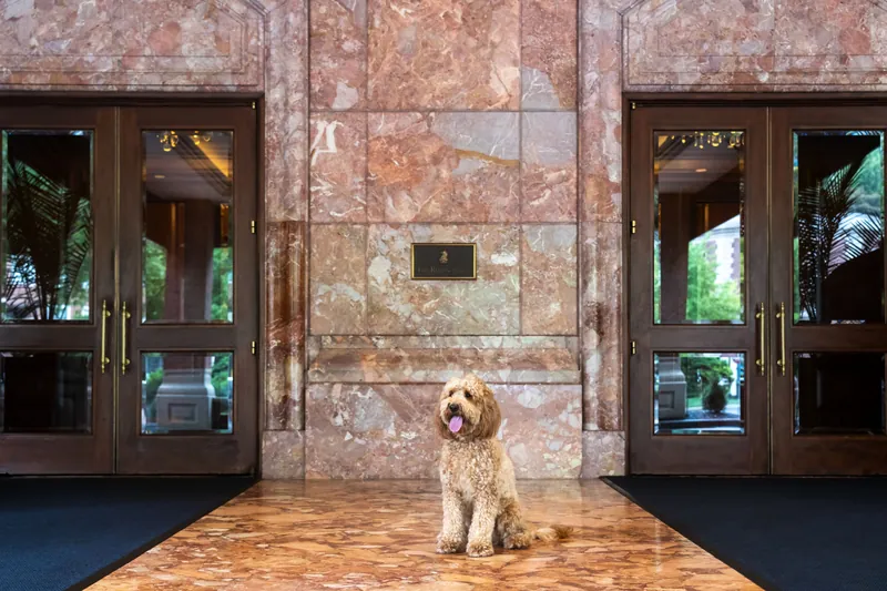 The Ritz-Carlton, St. Louis, 미국 · St. Louis