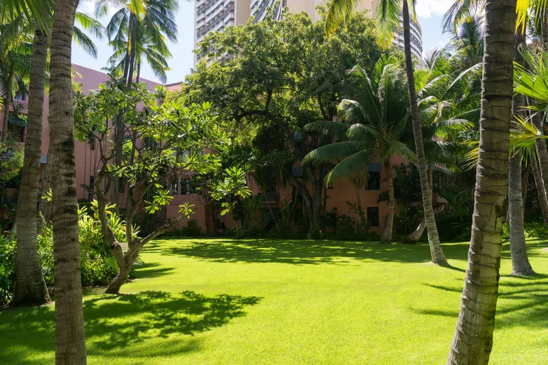 The Royal Hawaiian, a Luxury Collection Resort, Waikiki, Honolulu, United States
