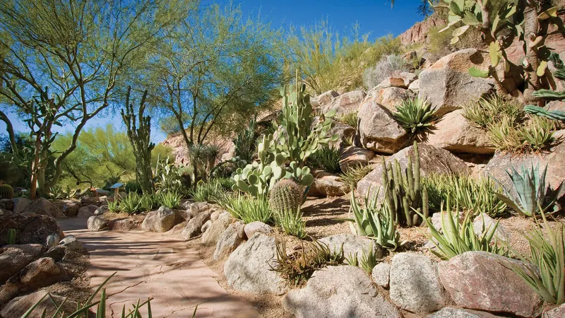 The Canyon Suites at The Phoenician, a Luxury Collection Resort, Scottsdale, Scottsdale, United States