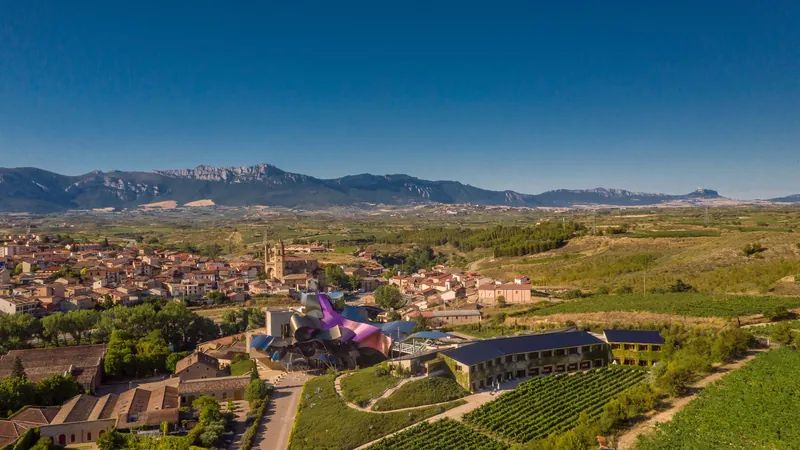 Hotel Marqués de Riscal, a Luxury Collection Hotel, Elciego, スペイン · Elciego
