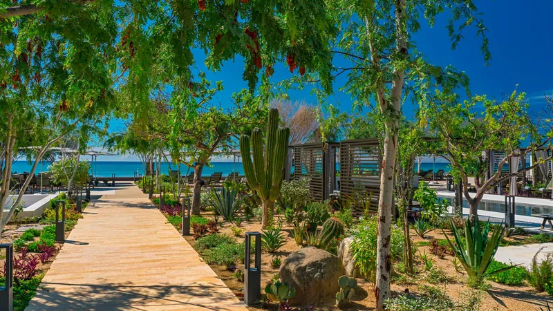 Solaz, a Luxury Collection Resort, Los Cabos, 멕시코 · San Jose del Cabo