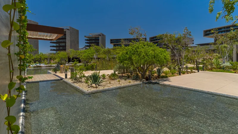 The Residences at Solaz, a Luxury Collection Resort, Los Cabos, San Jose del Cabo, Mexico