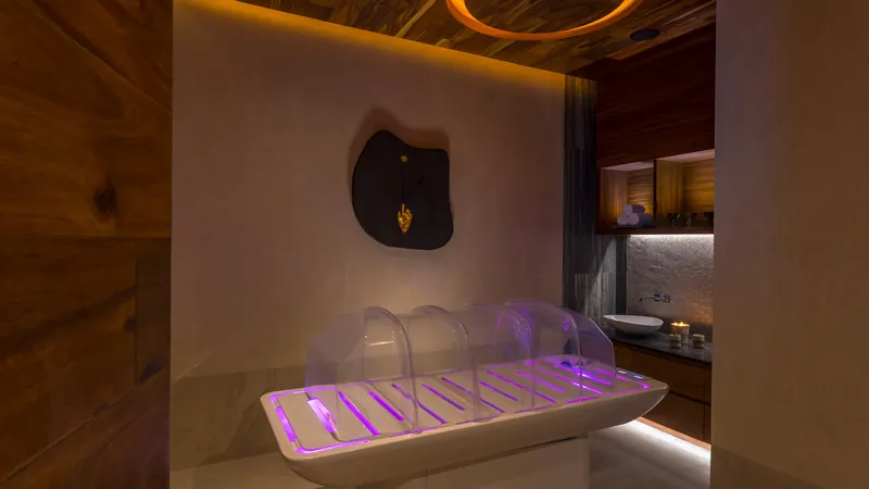 The Residences at Solaz, a Luxury Collection Resort, Los Cabos, San Jose del Cabo, Mexico