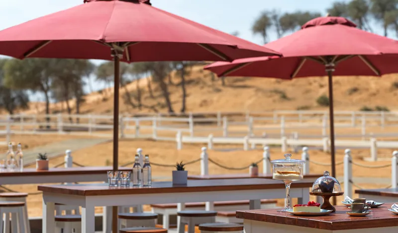 The Ritz-Carlton Ras Al Khaimah, Al Wadi Desert, アラブ首長国連邦 · Ras Al Khaimah