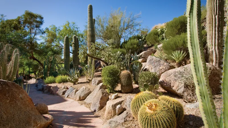 The Canyon Suites at The Phoenician, a Luxury Collection Resort, Scottsdale, Scottsdale, United States