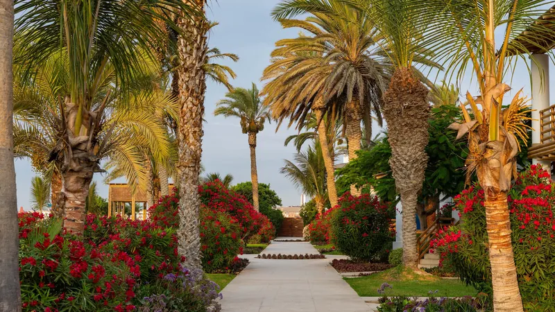 Hotel Paracas, a Luxury Collection Resort, Paracas, ペルー · Paracas